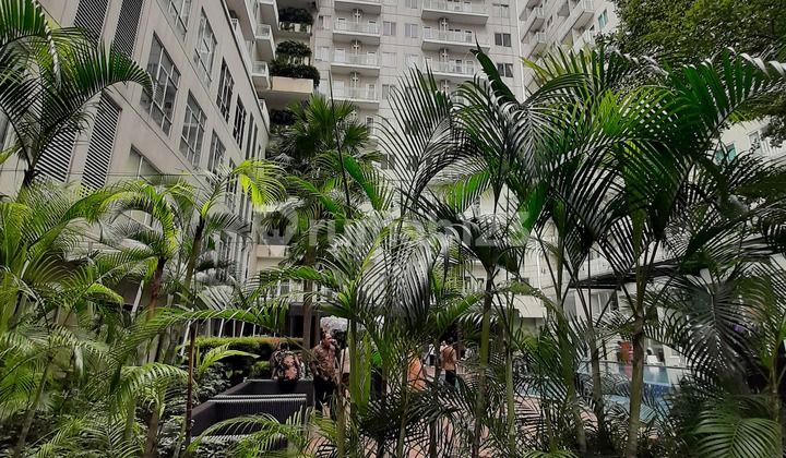 Apartement Bogor Icon murah lantai rendah 420juta Apartemen Bogor Icon 7