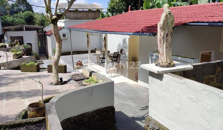 Rumah di Payangan, ubud Bali SHM Semi Furnished Bagus 6