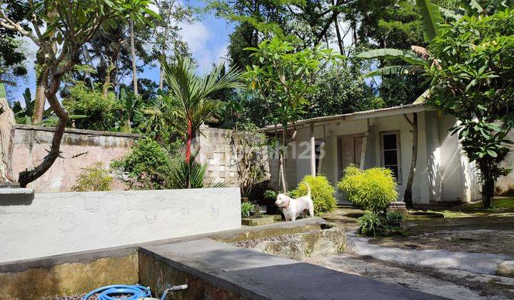 Rumah di Payangan, ubud Bali SHM Semi Furnished Bagus 9