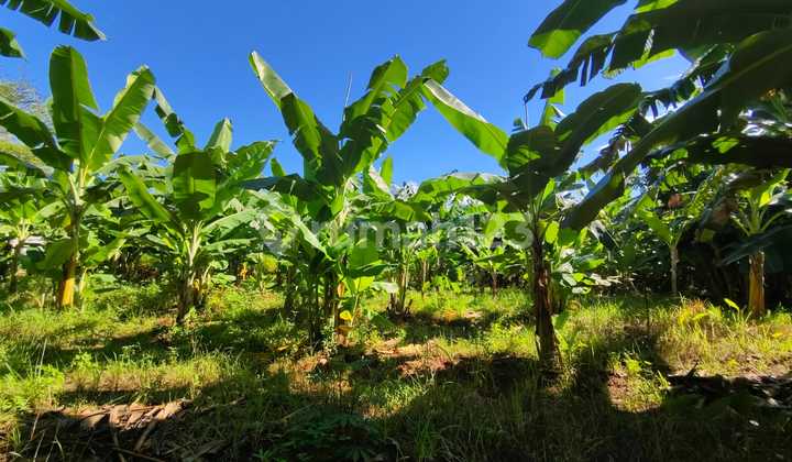 Dijual Kavling Komersil Pillar Mas Utama Luas 2.815m