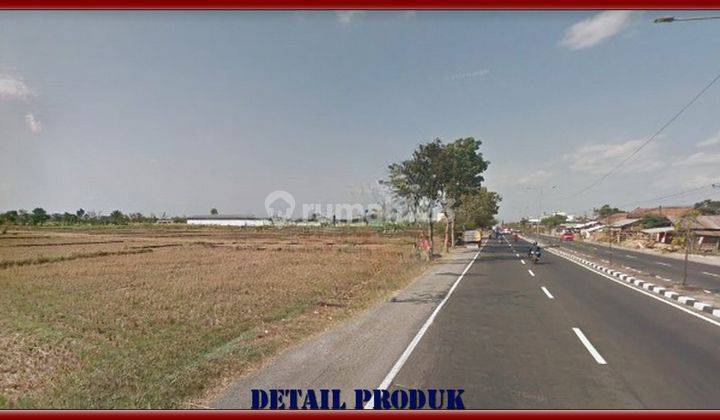 Mangku Jl.jogja Solo, Tanah Strategis Potensial Usaha Apapun 2