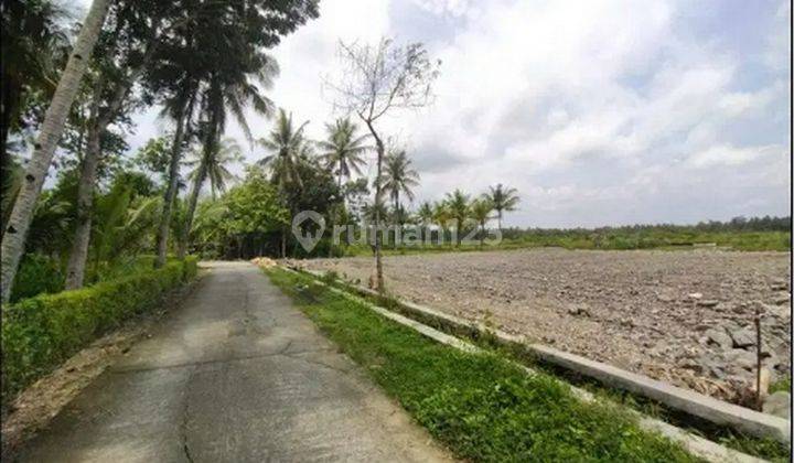 Dekat Pintu Tol Bandara Yia Kulon Progo Inves Tanah Murah Jogja 2