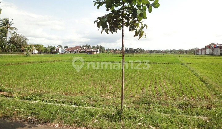 Kavling Tengah Kota Di Purworejo Jawa Tengah 9495 Kavling Tengah Kota Di Purworejo Jawa Tengah 9495