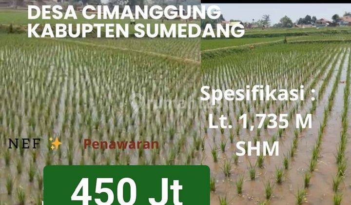 Jual cepat sawah aktif Kwalitas  panen beras bagus  Seth 3 kali  1