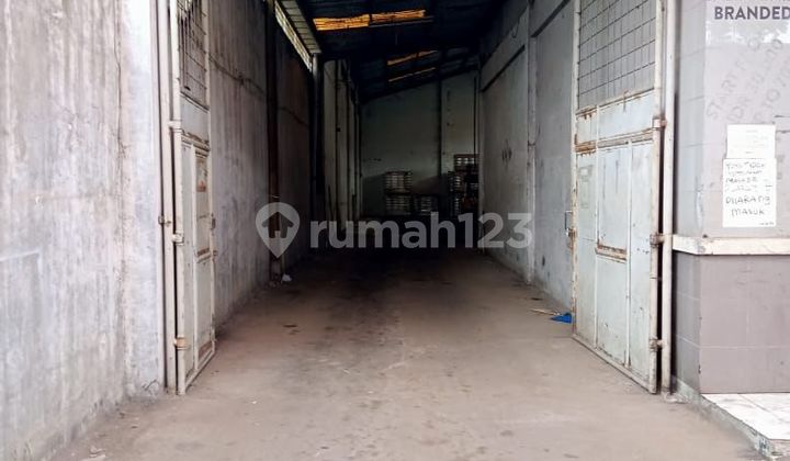 Disewakan Gudang masuk Container loading forklift dan pallet 