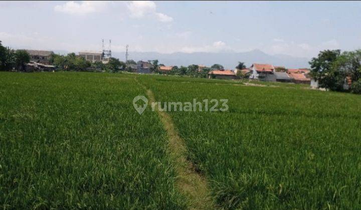 Kavling Luas Strategis Siap Bangun di Buah Batu Bandung 1