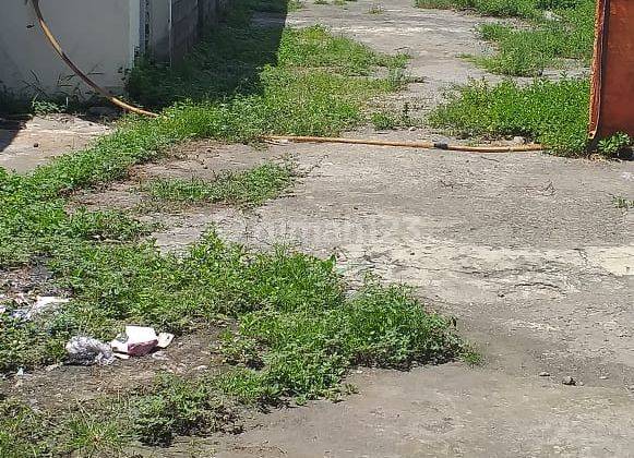 Gudang Kenjeran Disewakan Murah Dod.ya248 1