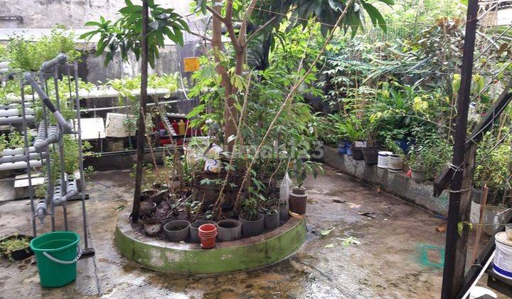 Veteran Simpang Smp 7 Butuh Uang, Siap Nego, Siap Huni 12