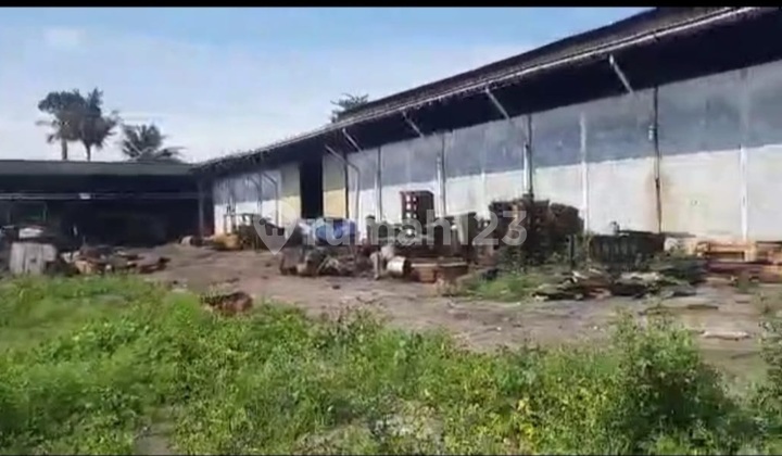 Pusat Gudang Termurah Kapuk.kamal.