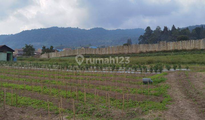 TANAH TINGGI, VIEW GUNUNG DEKAT HOTEL SINABUNG BERASTAGI