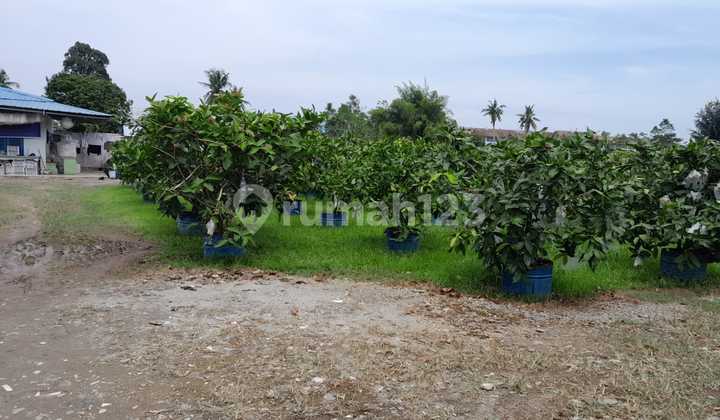 2. JL BESAR KARYA WISATA MEDAN JOHOR SEBERANG HUBDAM I BB