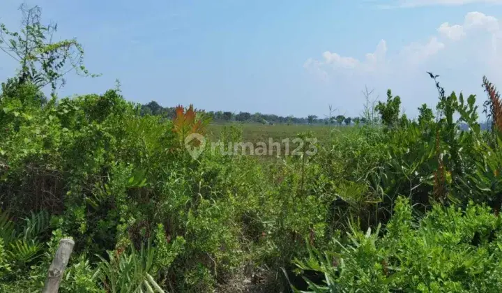 TANAH TERMURAH DI BATANG KUIS DEKAT KUALA NAMU 2