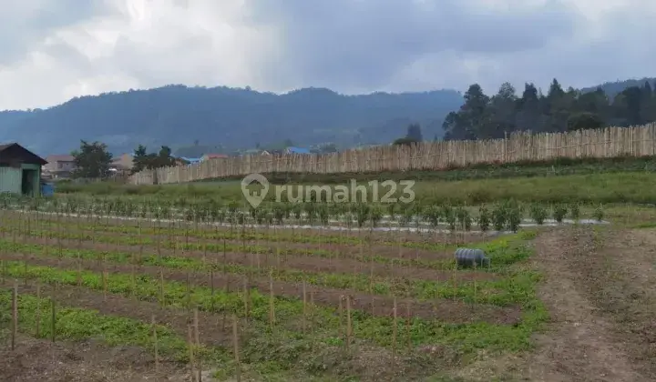 TANAH TINGGI, VIEW GUNUNG DEKAT HOTEL SINABUNG BERASTAGI. 2