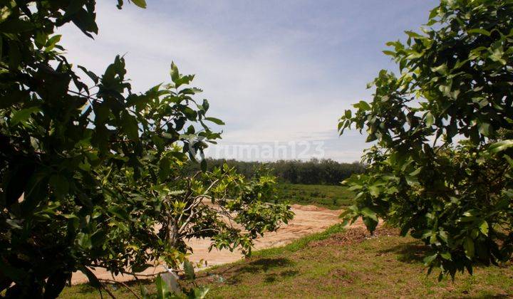 RATA, LUAS TERMURAH DEKAT PABRIK AYAM CHAROENPHOKPAN 4