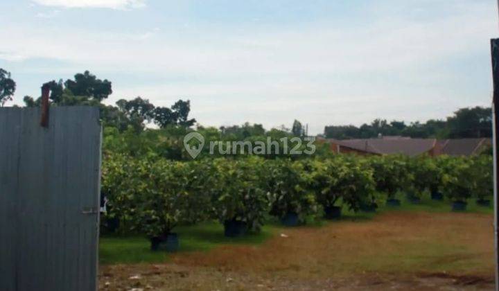 1. JL BESAR KARYA WISATA MEDAN JOHOR SEBERANG HUBDAM I BB