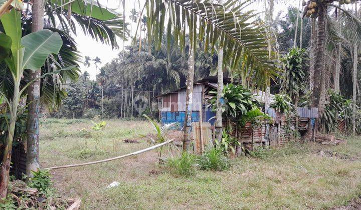 TANAH TERMURAH DI DELI TUA 4