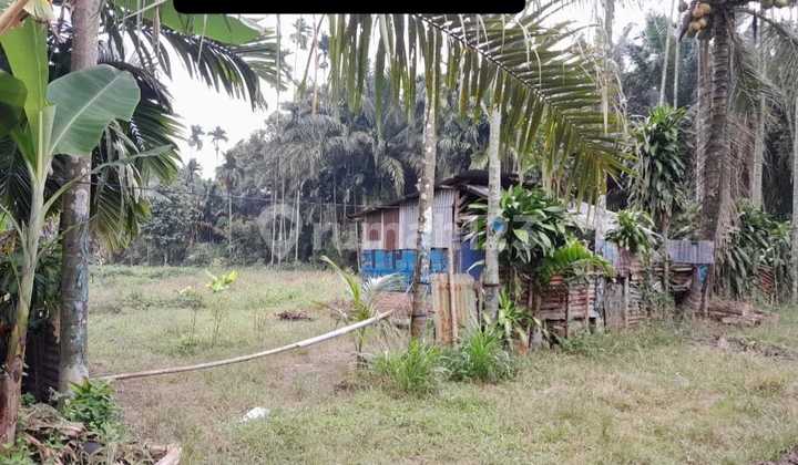 TANAH TERMURAH DI DELI TUA 1