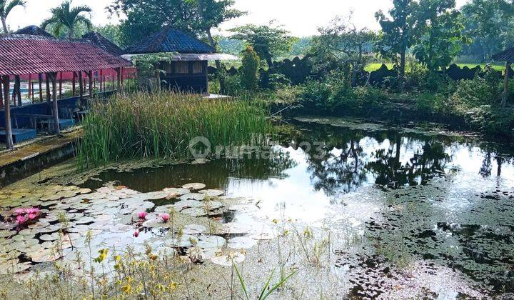 Tanah Cocok Untuk Usaha Dan Komersil.... 3