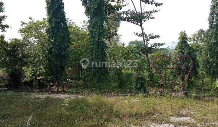 Tanah Cocok Untuk Usaha Dan Komersil.... 12