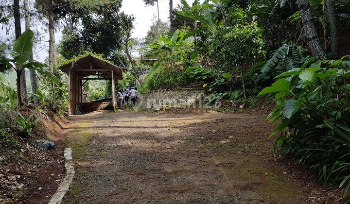 Tanah di Ciwidey Cocok Untuk Tempat Wisata, Hotel, Wahana Bermain 2