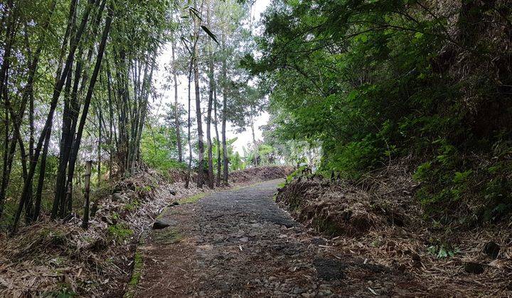 Tanah di Ciwidey Cocok Untuk Tempat Wisata, Hotel, Wahana Bermain 1