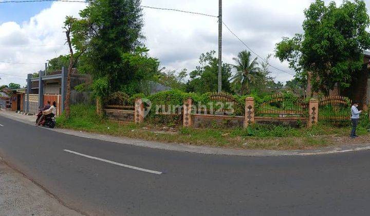 Dijual Cepat Tanah Murah di Nol Jalan Raya Pandansari C046  2