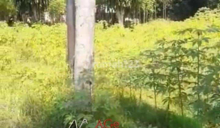 Tanah Kosong Pinggir Jalan Di Cileungsi 6