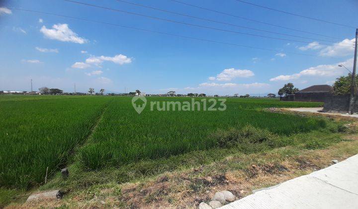 Tanah Sawah Mbulak Rejo  2