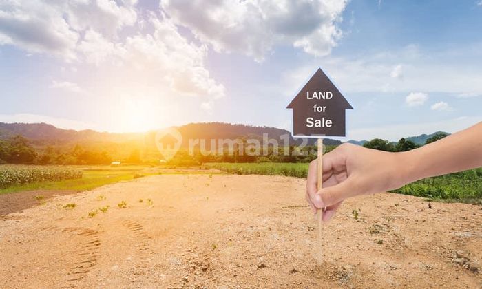 Dijual Kavling Komersil Wallstreet Uk 10x40 Posisi Badan Pik2 Dijual Kavling Komersil Wallstreet Uk 10x40 Posisi Badan Pik2