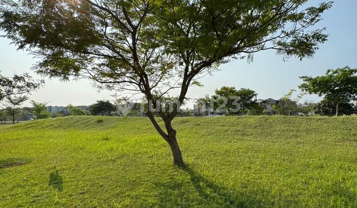 For Sale: Residential Plot at Bukit Danau Indah PIK 2
Area: 10x30 (300 m²)