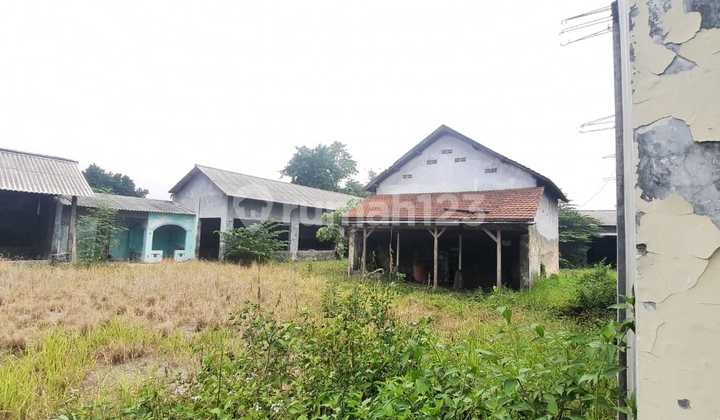 Disewakan Lahan Siap Bangun Raya Peterongan, Lokasi Strategis 6