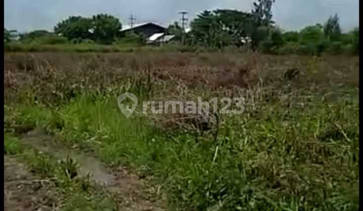 Dijual Tanah di Kec Widang Tuban  7