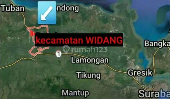 Tanah di Widang, Tuban SHM 40.000 m² 2