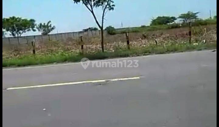 Tanah di Widang, Tuban SHM 40.000 m² 5