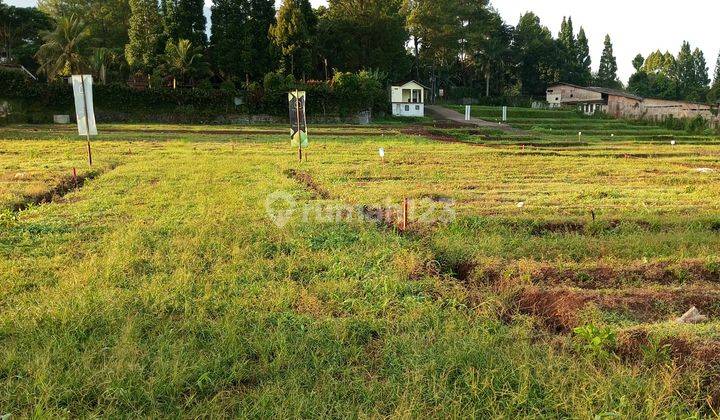 Tanah Kavling Villa Green Mountville Puncak Bogor 1