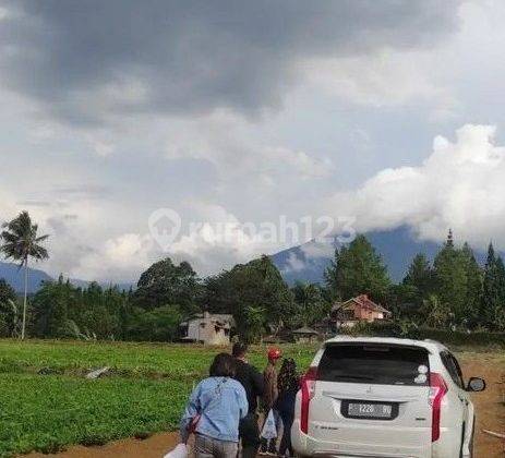 Kavling Villa Green Mountville di Megamendung 1