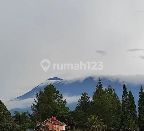 Kavling Villa Green Mountville di Megamendung 4