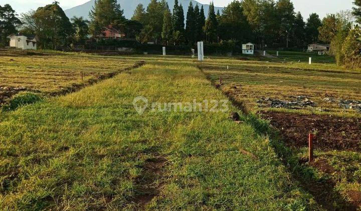 Kavling Villa Green Mountville di Megamendung 6
