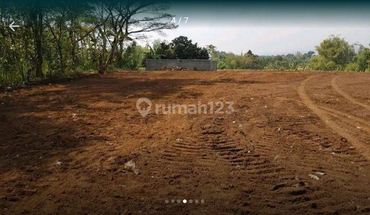 0038 Dijual Tanah di Wonorejo Pasuruan , Jawa Timur 1