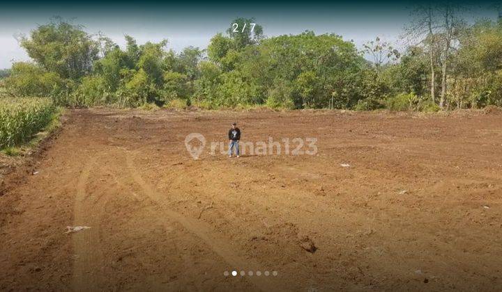 0038 Dijual Tanah di Wonorejo Pasuruan , Jawa Timur 3