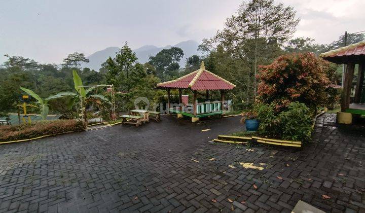 1327. Tempat wahana, kuliner, wisata outbound Jl. Duyung Trawas 1