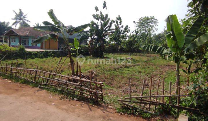 DIJUAL CEPAT TANAH MURAH DI KP PABUARAN PARUNG PANJANG 2