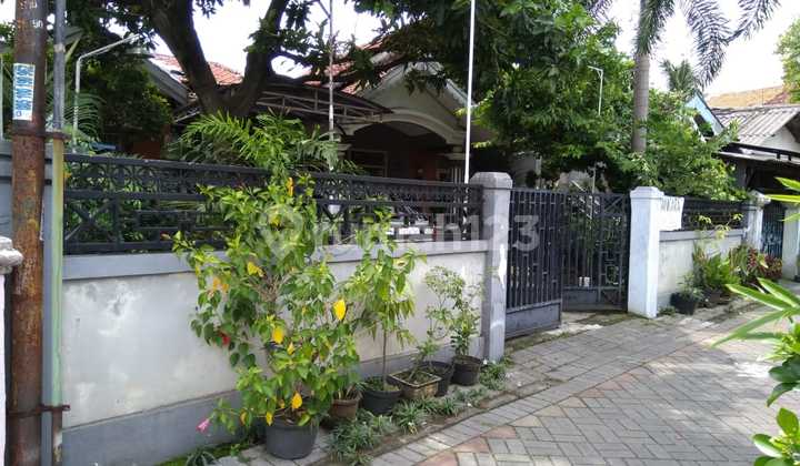 Jual Rumah Tengah Kota Surabaya Petemon Sidomulyo Jual Rumah Tengah Kota Surabaya Petemon Sidomulyo