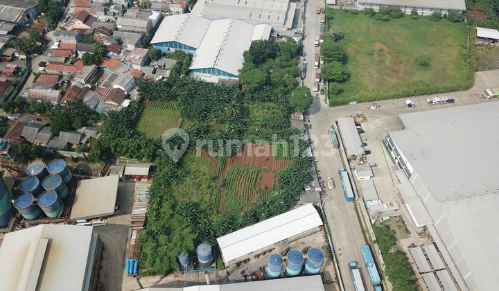 Tanah Dijual Untuk Industri sebrang Pt Mikie Oleo  5