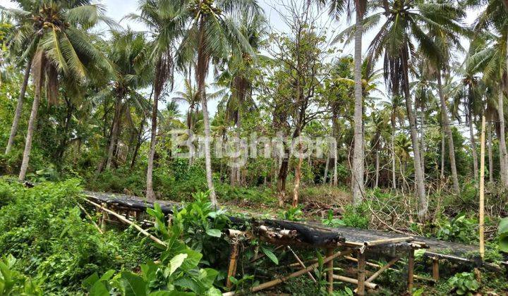 TANAH DEKAT BANDARA DEWANDARU KARIMUNJAWA JEPARA 2