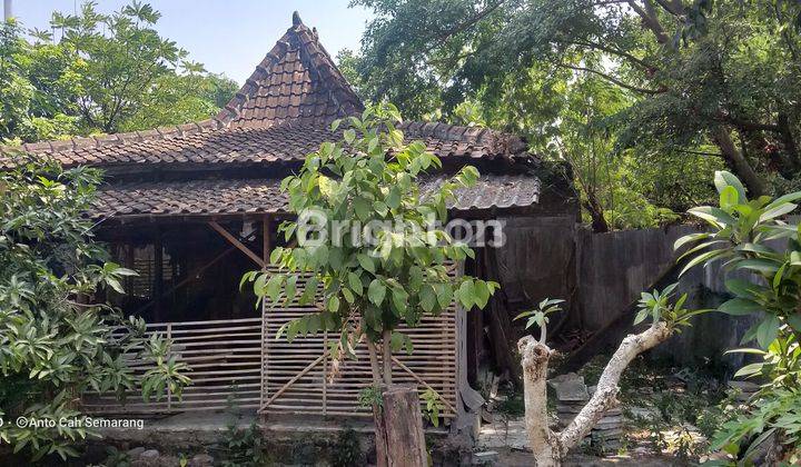 RUMAH HITUNG TANAH DEKAT SOLOPOS SURAKARTA 2