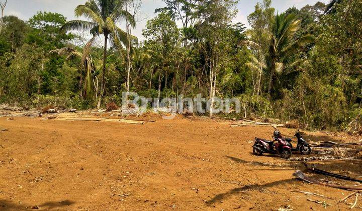 TANAH LUAS DEKAT KOPI EVA JAMBU AMBARAWA SEMARANG 1