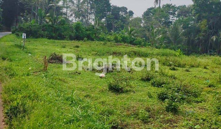 TANAH COCOK UNTUK INVESTASI DI TEMANGGUNG 1