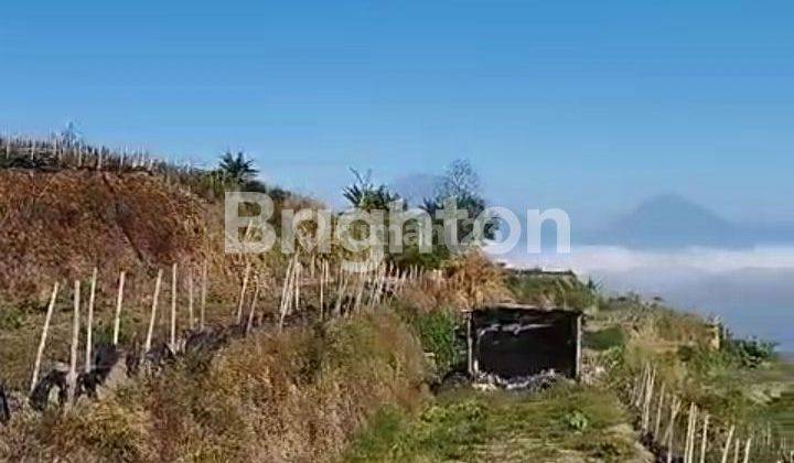 TANAH DENGAN VIEW GUNUNG DI JOGONAYAN KAB.MAGELANG 2