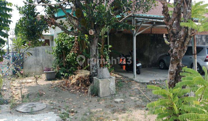 Rumah Di Tengah Perkotaan Dekat Jalan Utama 2